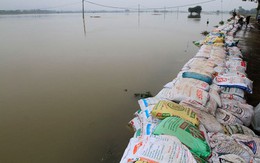 Cận cảnh mức chênh nước đê tả Bùi đe dọa nghìn hộ dân ở Hà Nội