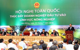 Thủ tướng: Việt Nam sẽ là một trung tâm chế biến của nông nghiệp thế giới