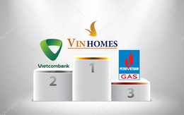 Lãi gần 10.000 tỷ, VinHomes vượt qua nhiều ngân hàng lớn trở thành quán quân lợi nhuận trên sàn chứng khoán