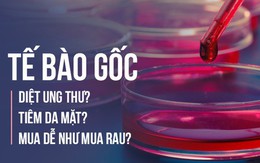 Ba tiến sĩ Việt ở nước ngoài: 9 ngộ nhận phổ biến về tế bào gốc