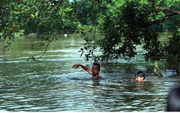 Ái ngại cảnh trẻ em vùng lụt Chương Mỹ vô tư bơi lội trong nước lũ