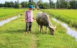 Kiểm điểm tập thể và cá nhân đề ra các khoản thu phí "lạ" ở Quảng Bình