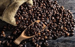 Giá cà phê xuất khẩu tháng 7/2018 tiếp tục giảm