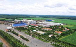 Ban lãnh đạo SBT liên tiếp đăng ký mua số lượng lớn cổ phiếu