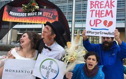 Tai tiếng Monsanto: Cuộc "hôn nhân" tai hại