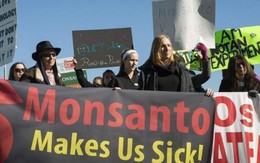 Những điều cần biết về Monsanto - tội đồ của môi trường toàn cầu