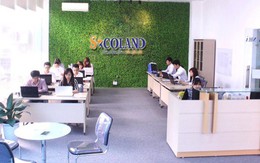 Sàn bất động sản nào chuyên phân phối các dự án phía Nam Hà Nội?