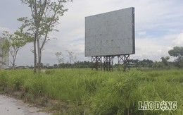 Hàng chục dự án “đất vàng nghìn tỉ” ở Mê Linh bị bỏ hoang sau 10 năm Hà Nội sáp nhập