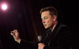 Cổ phiếu Tesla lao dốc sau bài phỏng vấn đầy nước mắt của Elon Musk với New York Times