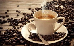Xuất khẩu cà phê mang về hơn 2 tỷ USD trong 7 tháng đầu năm
