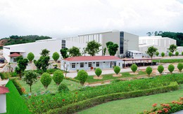 Công ty CP Khoáng sản Công nghiệp Yên Bái chuẩn bị niêm yết, thêm lựa chọn cho nhà đầu tư