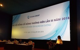 ĐHĐCĐ Ocean Group (OGC): Miễn nhiệm vị trí thành viên HĐQT của ông Hà Trọng Nam, bầu bổ sung thành viên mới