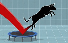 Khối ngoại mua ròng 150 tỷ đồng, sắc xanh phủ kín thị trường trong phiên 21/8