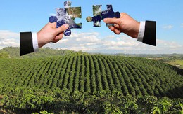 Tonkin Group bất ngờ trở thành cổ đông lớn của SJF?