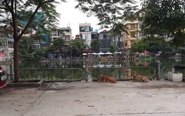Vụ người đàn ông cụt chân bị chó Becgie cắn chết ở Hà Nội: "Nỗi lo lắng bấy lâu của dân cư trong ngõ đã thành sự thật"