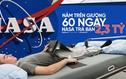 Việc nhẹ lương cao: Chỉ việc nằm trong 60 ngày, NASA trả bạn 2,3 tỷ đồng