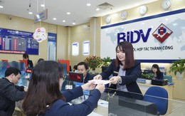 6 ngân hàng cam kết tài trợ tín dụng 34.000 tỷ cho 10 doanh nghiệp Quảng Bình