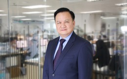 Cựu CEO Nam Long làm chủ tịch MIK Group