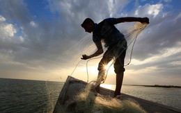 Khối ngoại mua ròng mạnh nhất trong vòng 2 tháng, tập trung “gom hàng” HPG, SSI, VCB, VJC