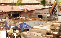 Doanh nghiệp kiến nghị kiểm soát chặt đồ gỗ xuất khẩu