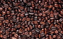 Sức ép bán hàng vụ mới kéo giảm giá cà phê