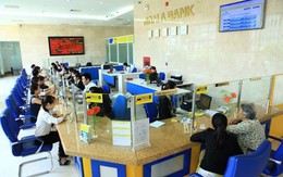 Nam A Bank chuẩn bị phát hành hơn 33 triệu cổ phiếu để trả cổ tức