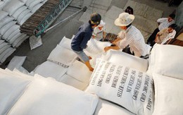 Xuất khẩu gạo đón nhiều tin vui từ thị trường Trung Quốc, Philippines