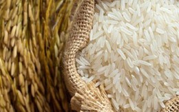 Biến động mạnh trên thị trường lúa gạo Philippines