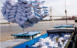 Xuất khẩu gạo Việt: Lắm nỗi truân chuyên