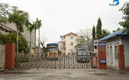 Công ty CP Giấy Hoàng Hà Hải Phòng sẽ lên sàn chứng khoán vào ngày 08/08