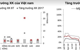 SSI Research: Xuất khẩu sang Trung Quốc không còn hấp dẫn như trước