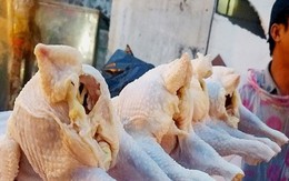 90.000 tấn thịt gà nhập về Việt Nam giá rẻ bèo 23.000 đồng/kg