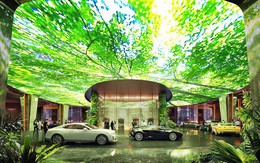 Dubai chi 12.800 tỷ để xây dựng khách sạn kết hợp rừng mưa nhiệt đới đầu tiên trên thế giới