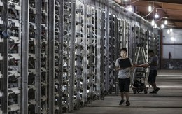 Dù giá bitcoin giảm một nửa thì đào bitcoin vẫn là nghề kiếm bộn tiền ở Trung Quốc