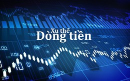 Xu thế dòng tiền: Điều chỉnh chưa xong?