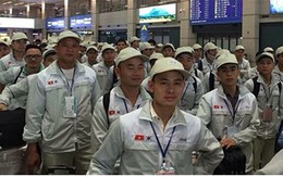 Cảnh giác với lừa đảo lao động Việt Nam đi làm việc tại Nhật Bản