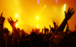 Khối ngoại mua ròng đột biến gần 500 tỷ đồng, sắc xanh phủ kín thị trường trong phiên 11/9