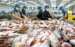 Hùng Vương hưởng thuế 0% xuất cá tra vào Mỹ, thuế chống bán phá giá với tôm Việt Nam cũng giảm mạnh