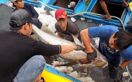 Thẻ vàng IUU làm giảm tăng trưởng xuất khẩu hải sản