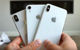 Giá iPhone XS và iPhone XR tại VN được tiết lộ: Thấp nhất 22 triệu, cao nhất 43 triệu, bán cuối tháng 10