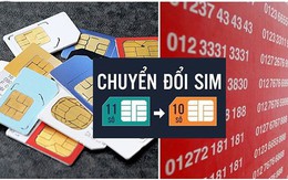 Thuê bao 11 số chuyển sang 10 số từ 15/9: Những thông tin cần biết