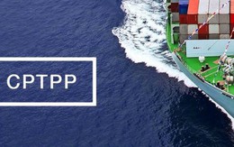 Chính phủ sẽ trình thông qua Hiệp định CPTPP tại kỳ họp Quốc hội tháng 10