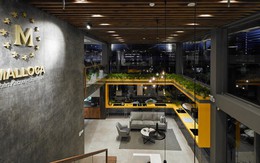 Malloca khai trương Showroom về sản phẩm, giải pháp và thiết bị nhà bếp cao cấp hàng đầu Đông Nam Á