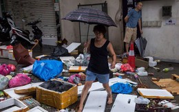 Hồng Kông bắt đầu dọn dẹp núi rác do siêu bão Mangkhut để lại