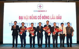 EVNGENCO 3 tổ chức Đại hội đồng cổ đông lần thứ nhất