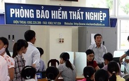 Số lao động đăng ký hưởng trợ cấp thất nghiệp tăng đột biến