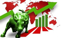 Thị trường rung lắc trước ngưỡng 1.000 điểm, khối ngoại tranh thủ “gom hàng” trong phiên 19/9