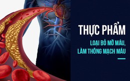 5 thực phẩm "phá hủy" mỡ máu: Mỗi ngày ăn 1 món để mạch máu thông suốt, trẻ hóa kỳ diệu