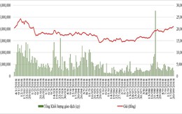 Cổ phiếu SBT đang được định giá như thế nào dưới góc nhìn của các công ty chứng khoán (kỳ 1)