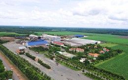 Cổ phiếu SBT đang được định giá như thế nào dưới góc nhìn của các công ty chứng khoán (kỳ 2)